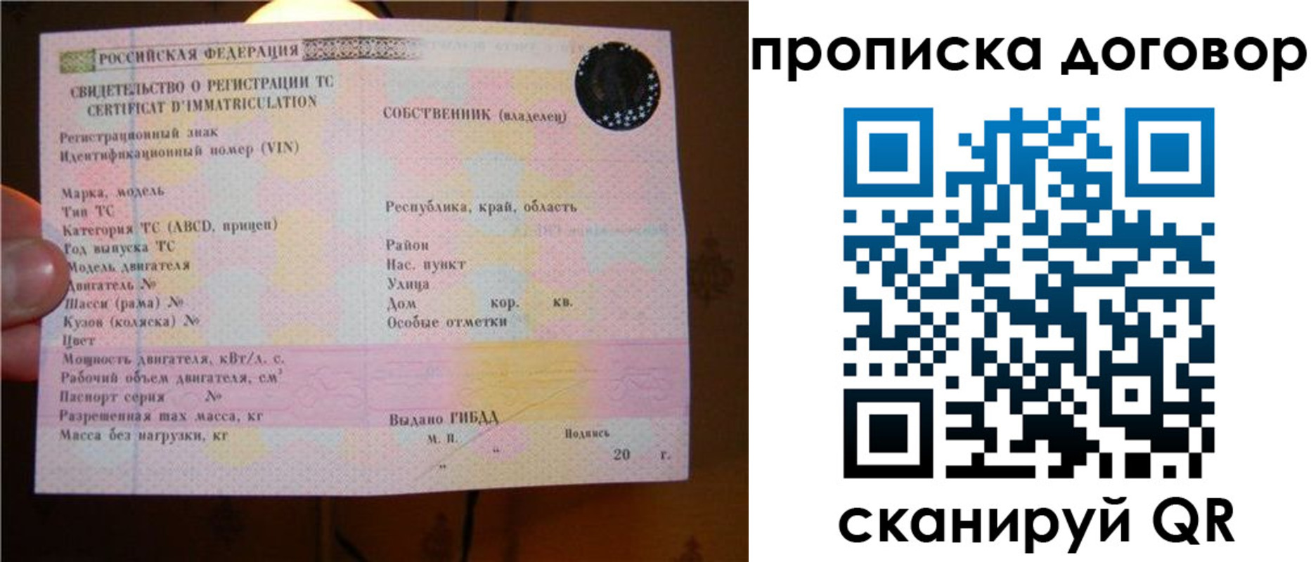 временная регистрация поиск в Брянской области